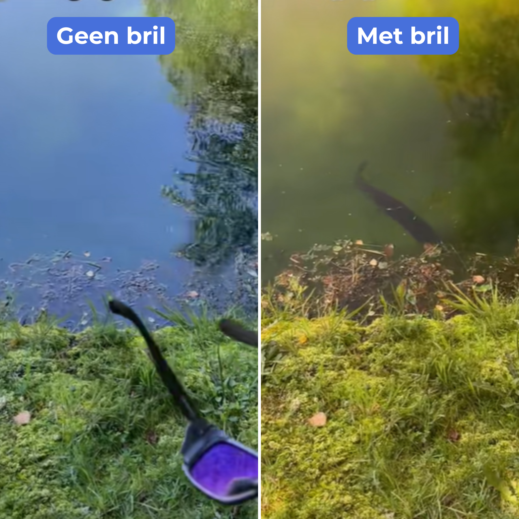 Fisho Anti-Reflectie Gepolariseerde Visbril™